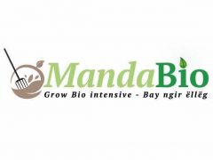 Logo MandaBio