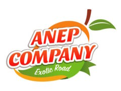 ANEP COMPANY : exportateurs de fruits et légumes exotiques : Mangue, Ananas, Avocat , Noix de coco, Gombo, Piment, Haricot vert, Manioc.