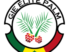 Gie Elite Palm Sénégal
