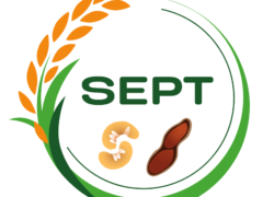 La Société d’Exploitation des Produits du Terroir (SEPT) : Sokone, région de Fatick, Sénégal.