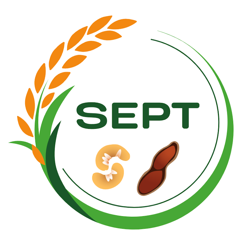 La Société d’Exploitation des Produits du Terroir (SEPT) : Sokone, région de Fatick, Sénégal.