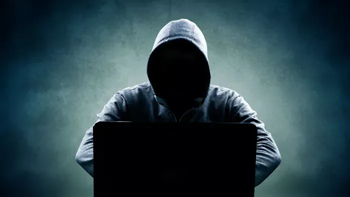 Fraudes en ligne par moyens électroniques.
